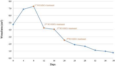 Heterologous Wharton's Jelly Derived Mesenchymal Stem Cells Application on a Large Chronic Skin Wound in a 6-Month-Old Filly